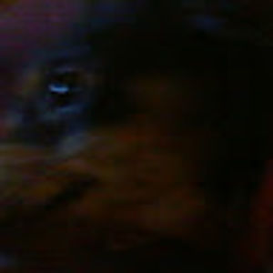 Meet your Posher, Gabe